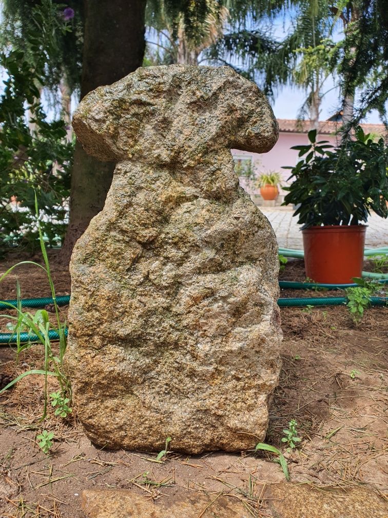 Cogumelo de pedra granito