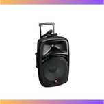 Mobilna kolumna aktywna 100W akumulator, Bluetooth, 2 mikrofony