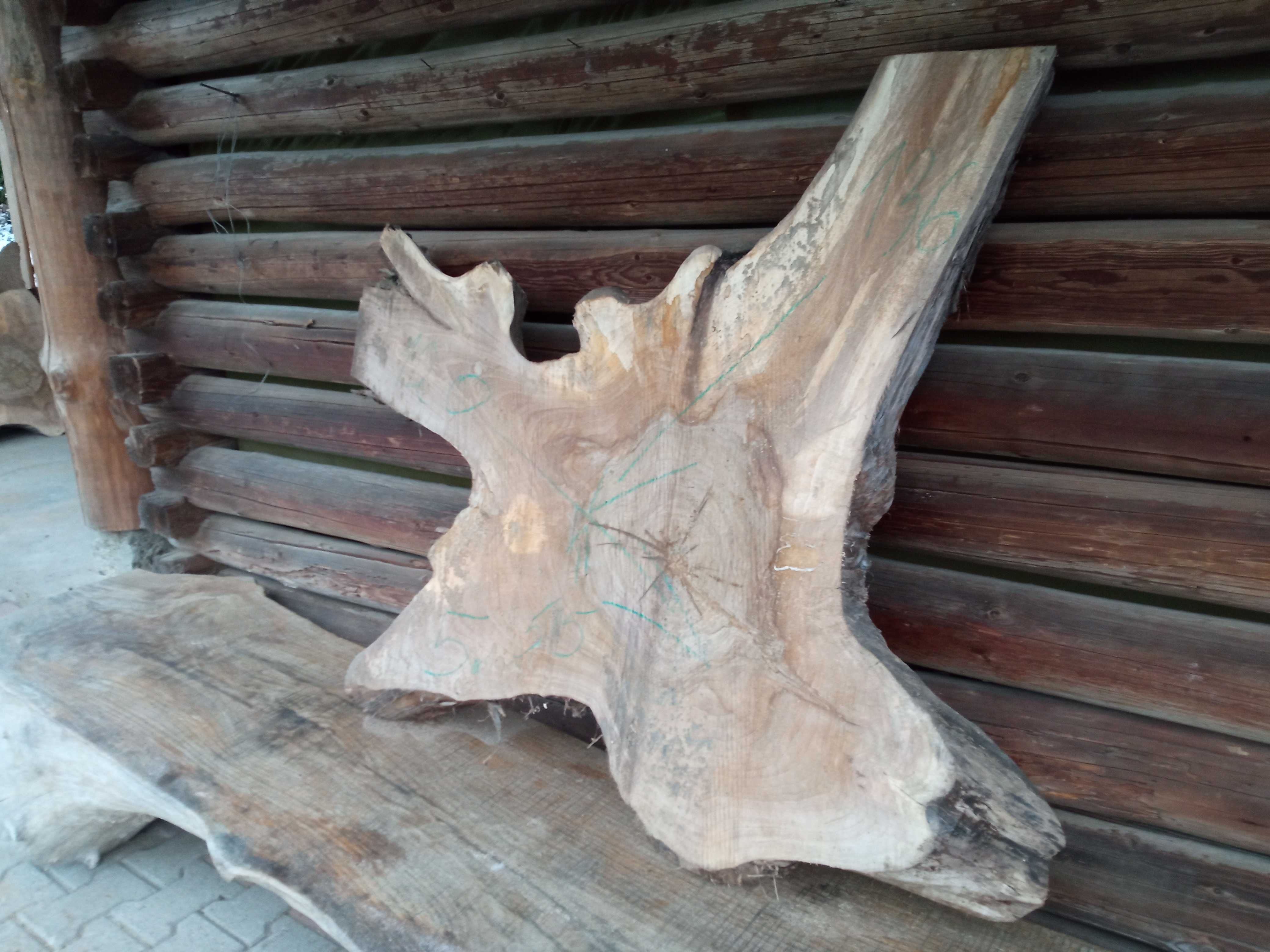 Duże plastry drewna 100cm lub więcej rozpiętości !!! Niesamowite okazy