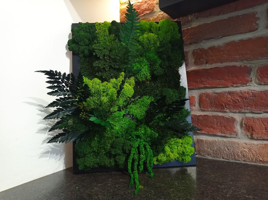 Obraz 30 x 40cm rośliny stabilizowane żywy mech