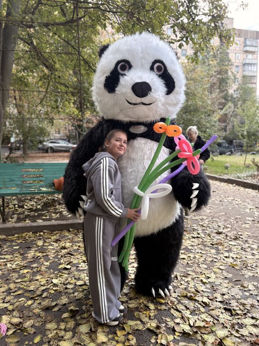 Кривий Ріг пес патрон, мішка, зайка, стіч, скай, гонщік