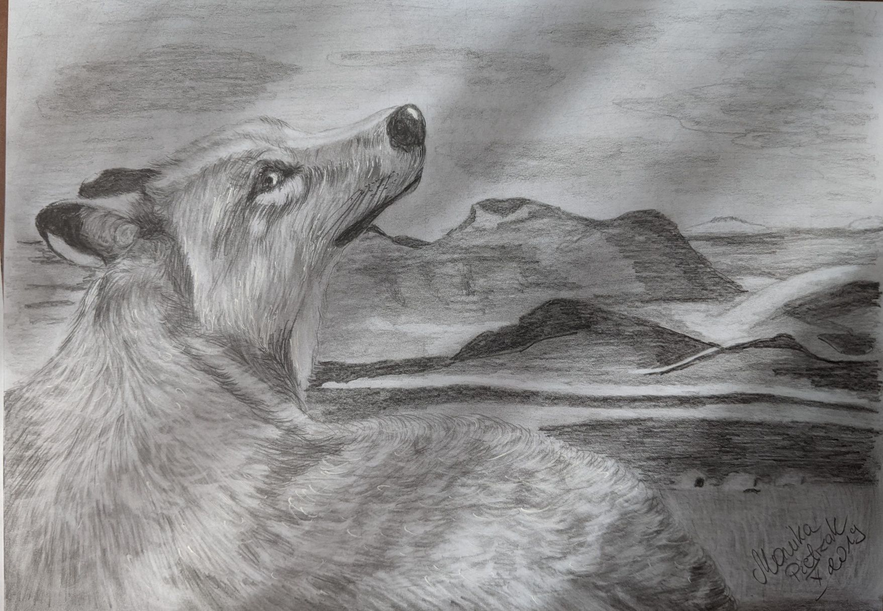 Rysunek ołówkiem KiN pies wilk format A4
