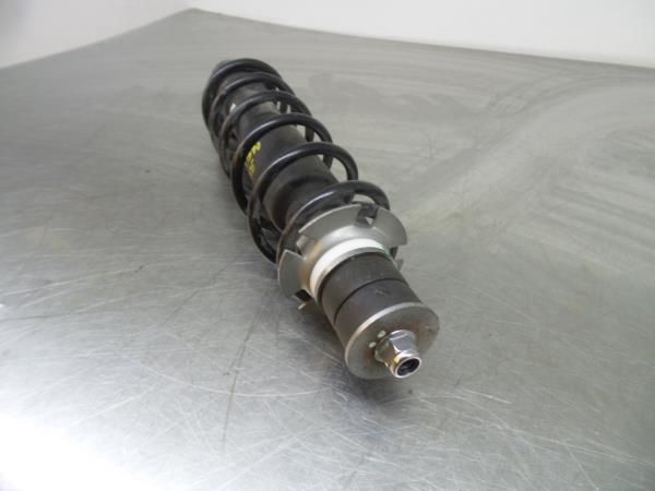 Amortecedor trás esquerdo RENAULT Twizy (MAM_)