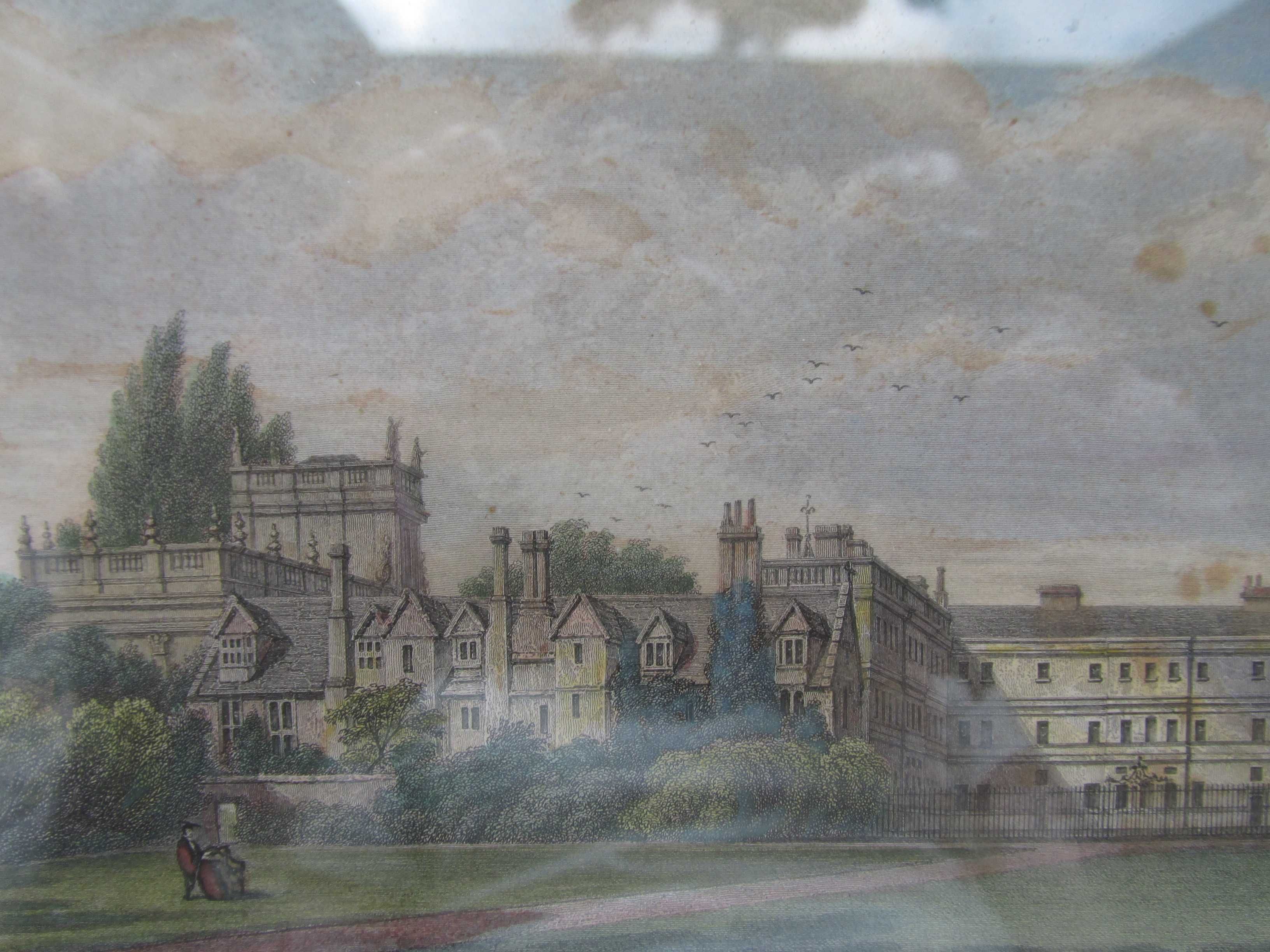 Stary Kolorowy Staloryt - Trinity College From The Garden- 1835 anglia