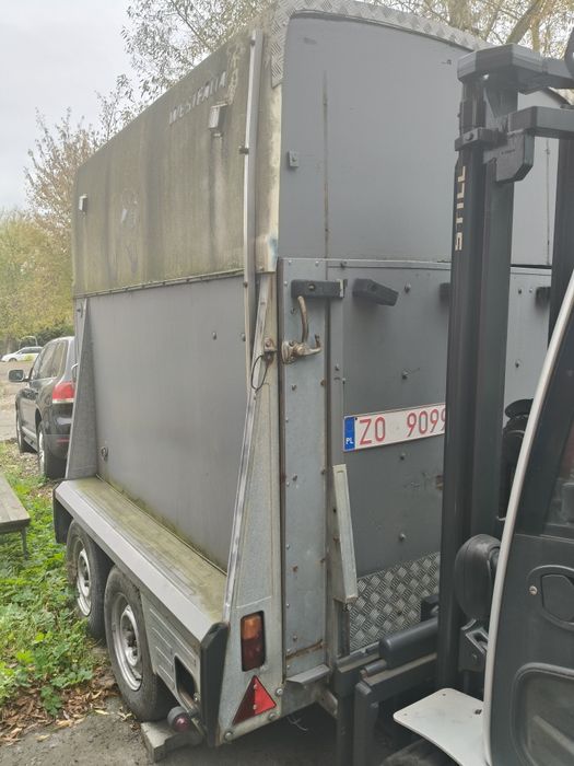 Przyczepa do przewozu koni westfalia