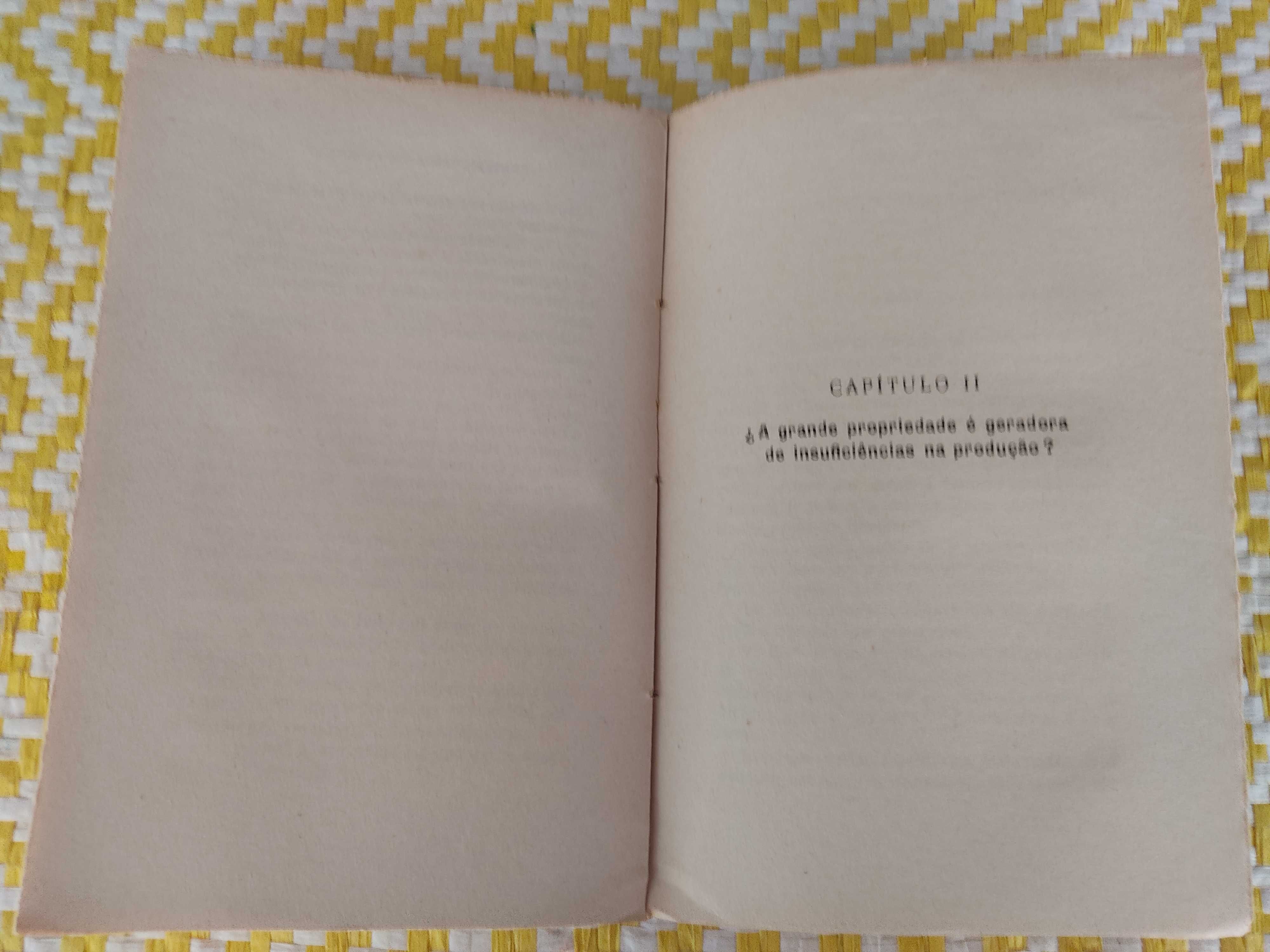 ALENTEJO, Terra De Promissão/Pensamento Agrário
 Mário De Castro