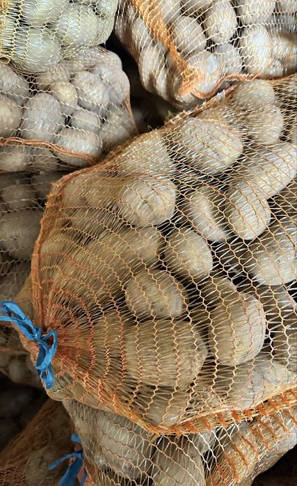 Ziemniaki z własnej działki