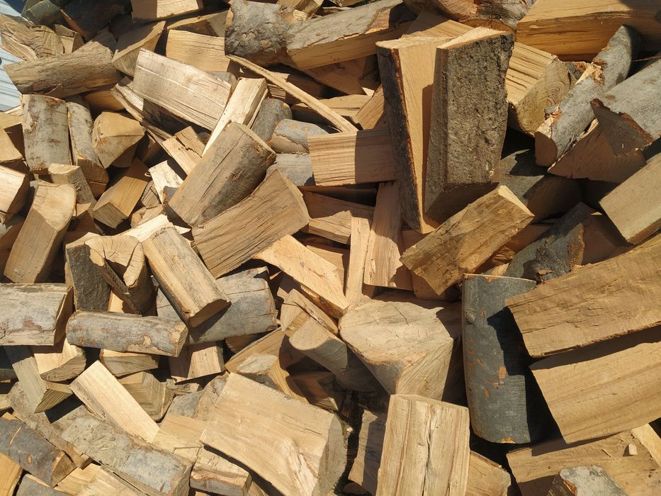 Дрова колоті твердих порід
