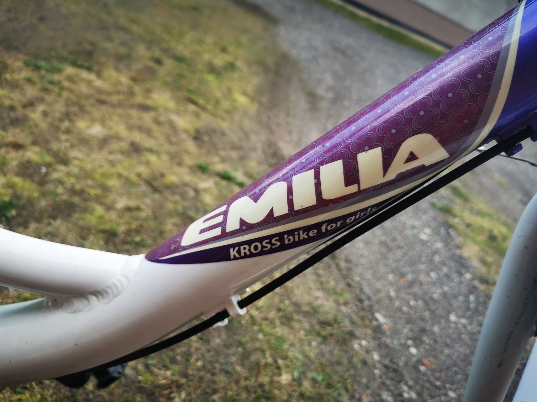 Rower Kross Emilia