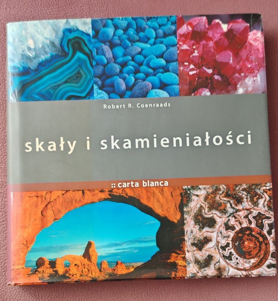 SKAŁY  I  SKAMIENIAŁOŚCI - dla zainteresowanych