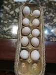 Vendo ovos de  sedosas do Japão galados.