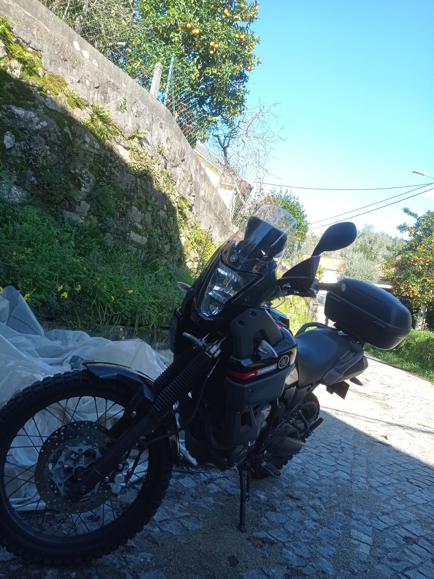 Yamaha Xt660z Tenere