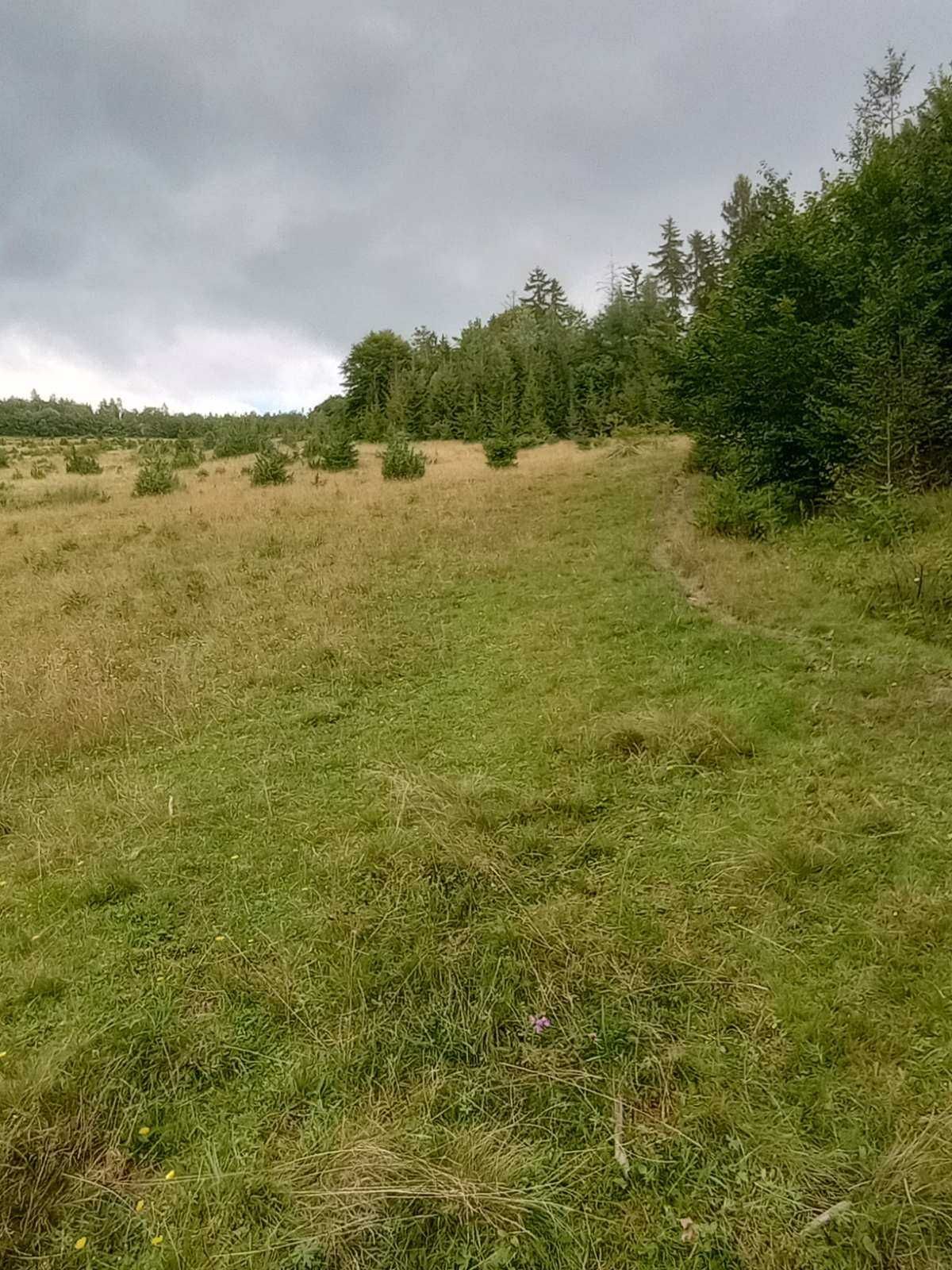 Земля в горах, земля в Карпатах. Ціна вказана за сотку.