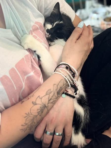 Perelka do adopcji szuka domu