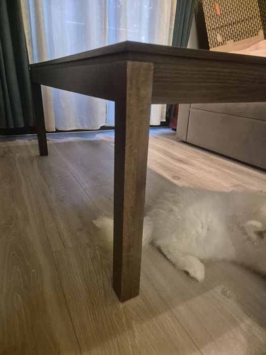 Stolik kawowy brązowy