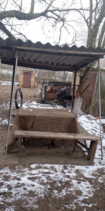 Продам дом  в селе Новая осота Кировоградская обл или обмен Срочно!