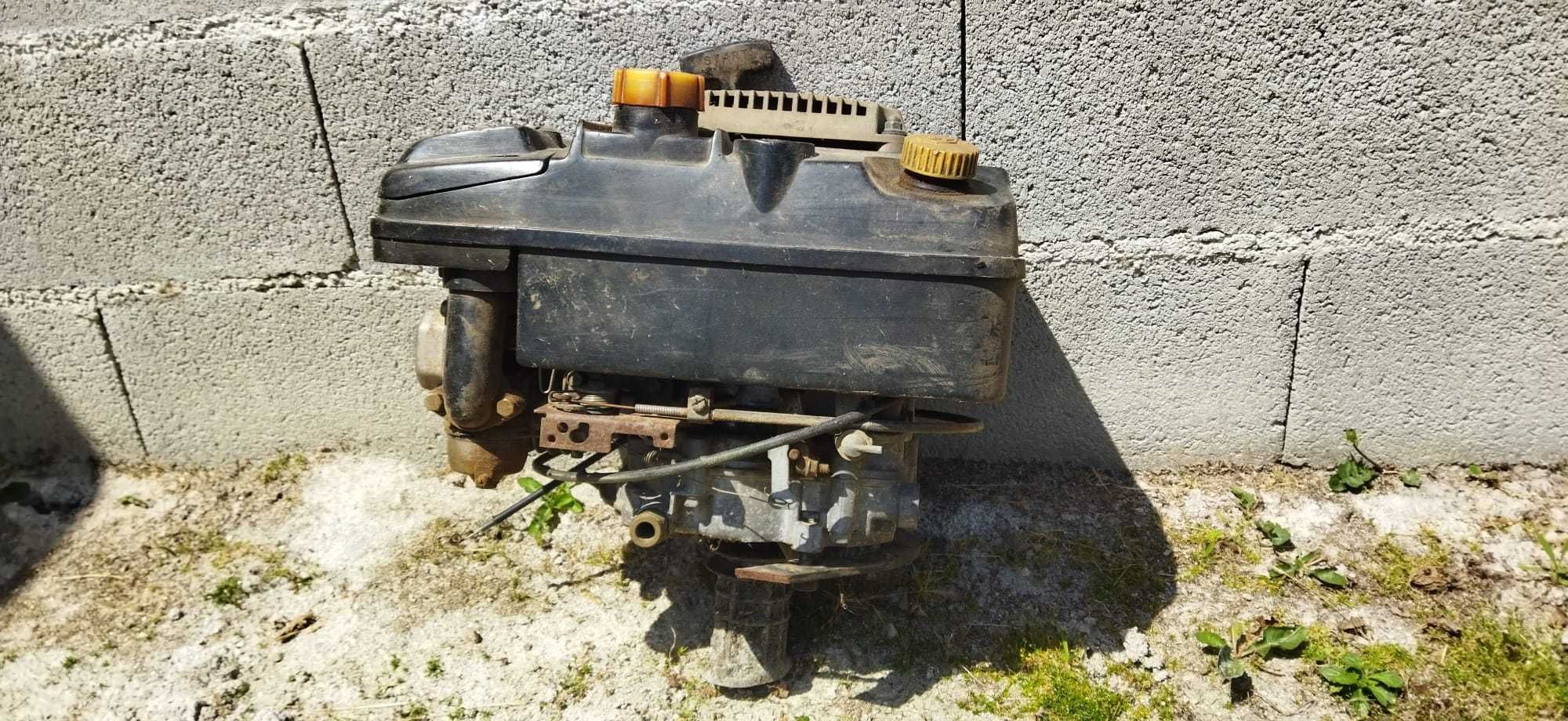 Motor máquina corta relva.