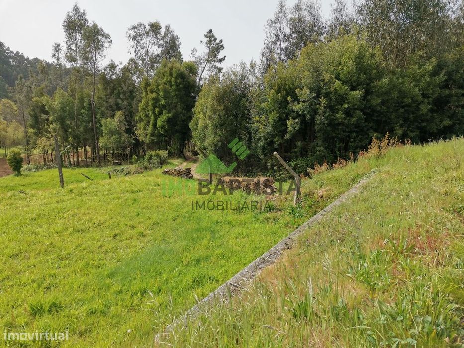 Terreno c/ 9900 m2 no Vale