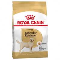 Karma dla psa sucha Royal Canin Breed Labrador Retriever Adult 12kg