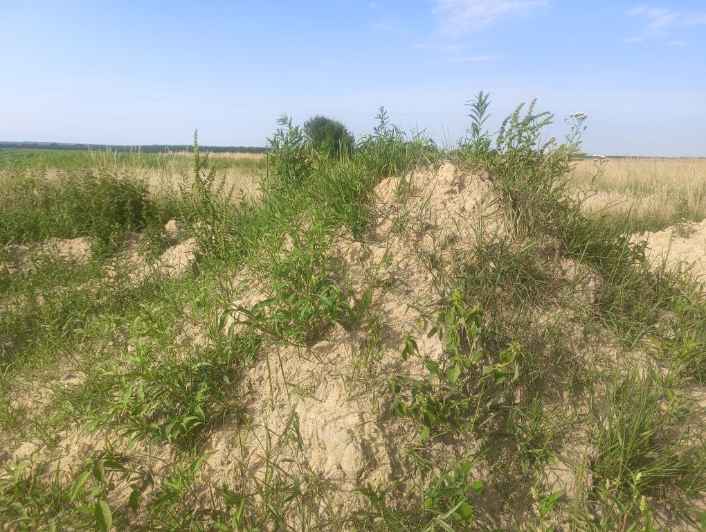 Oddam ziemię z wymiany gruntu