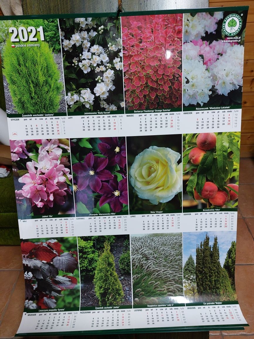 Oddam za darmo kolorowe kalendarze