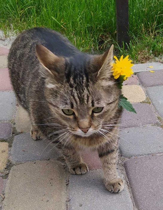 Маша терміново шукає родину