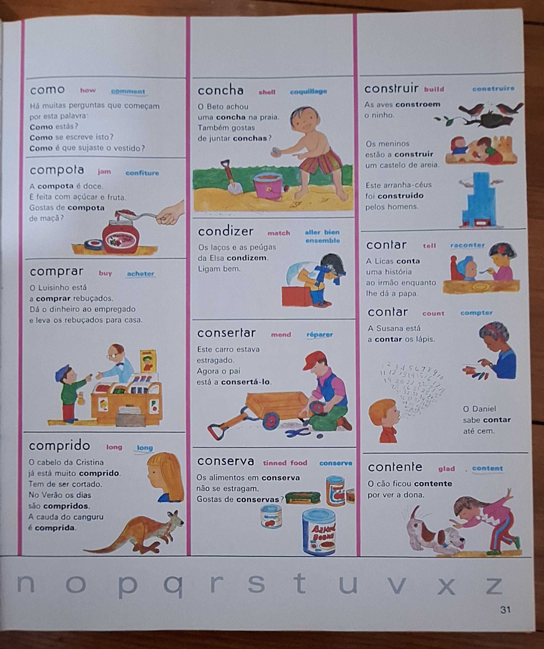 Dicionário Infantil dos 3 idiomas