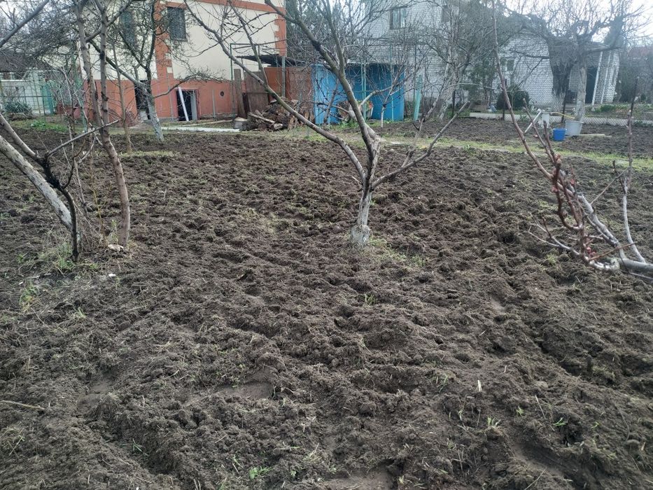 Культивация земли , вспашка, уборка участка , территории, спил деревье