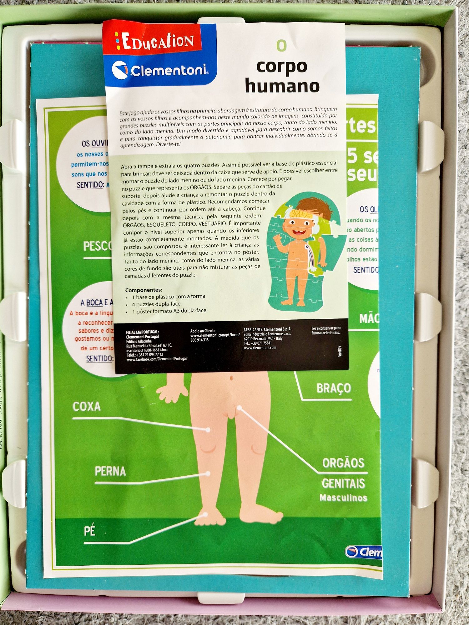 Puzzle O Corpo Humano
