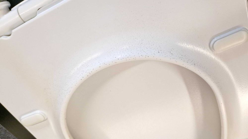 Tampa Sanita Roca DAMA