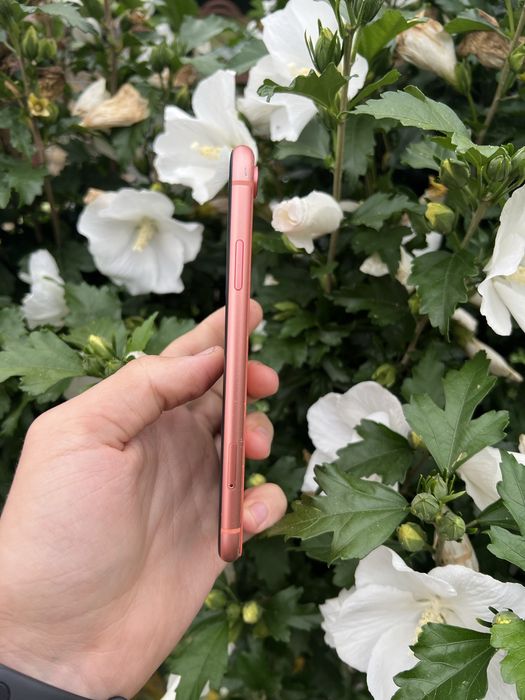 Розборка, запчастини Iphone Xr є чиста плата!!