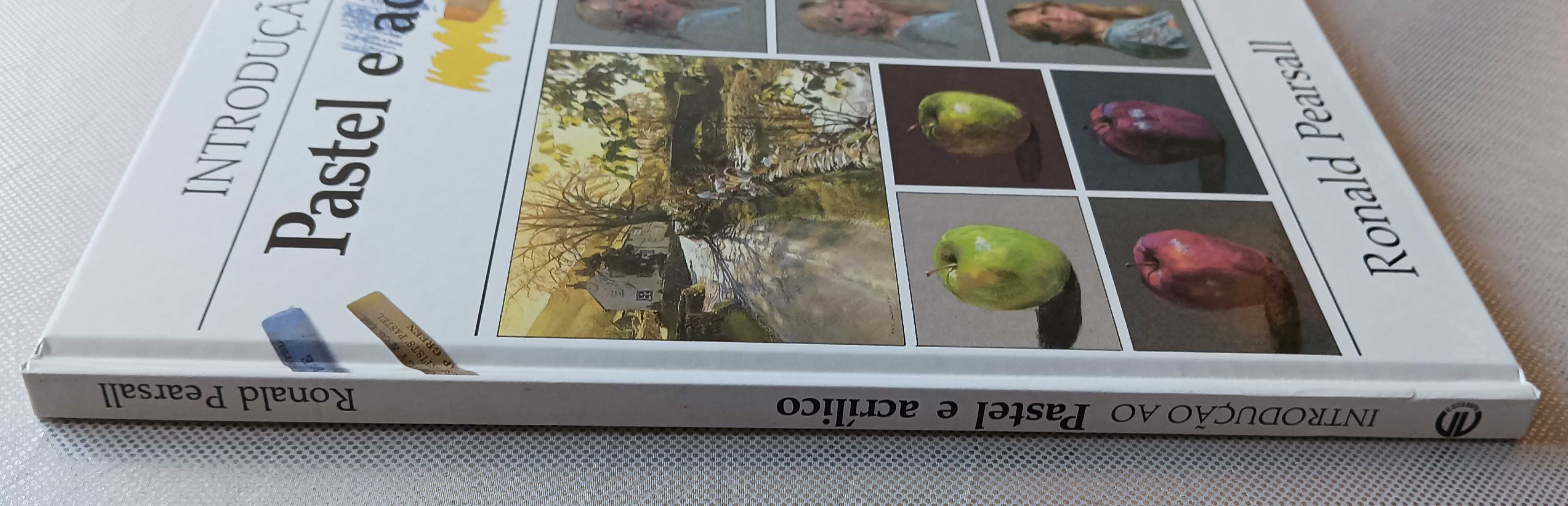 Introdução ao Pastel e Acrílico