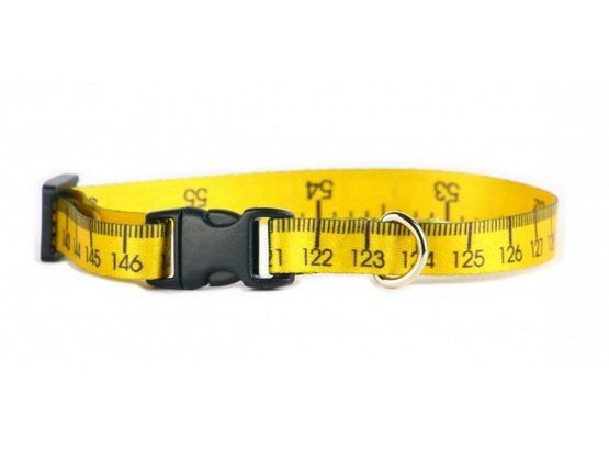Solidna obroża dla psa z mocnym szyciem - Matteo 25mm/34-60cm Miara