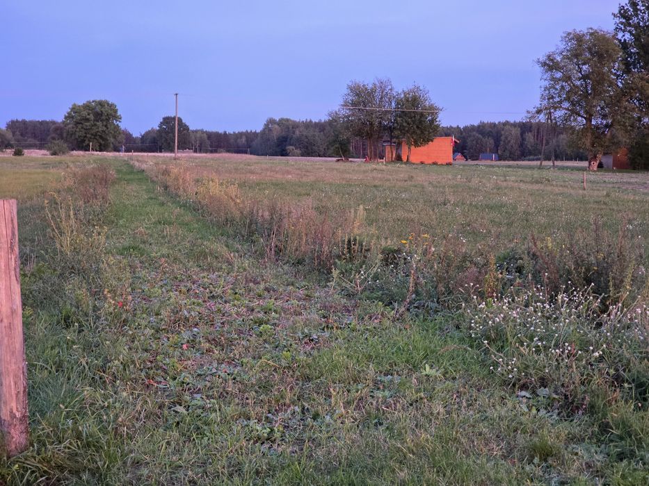 Cudnów g. Jedlnia Letnisko Działka Budowlana z WZ, Prąd ,Woda, Asfalt