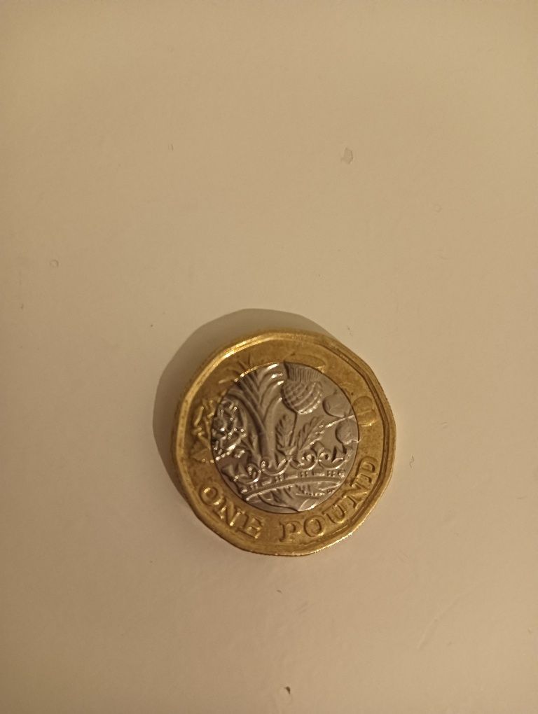 Moeda one pound rainha Elizabeth