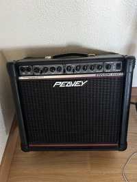 Peavey transtube enjoy 110