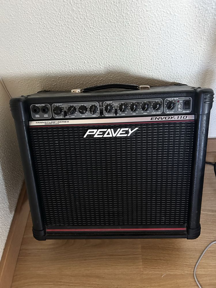 Peavey transtube enjoy 110