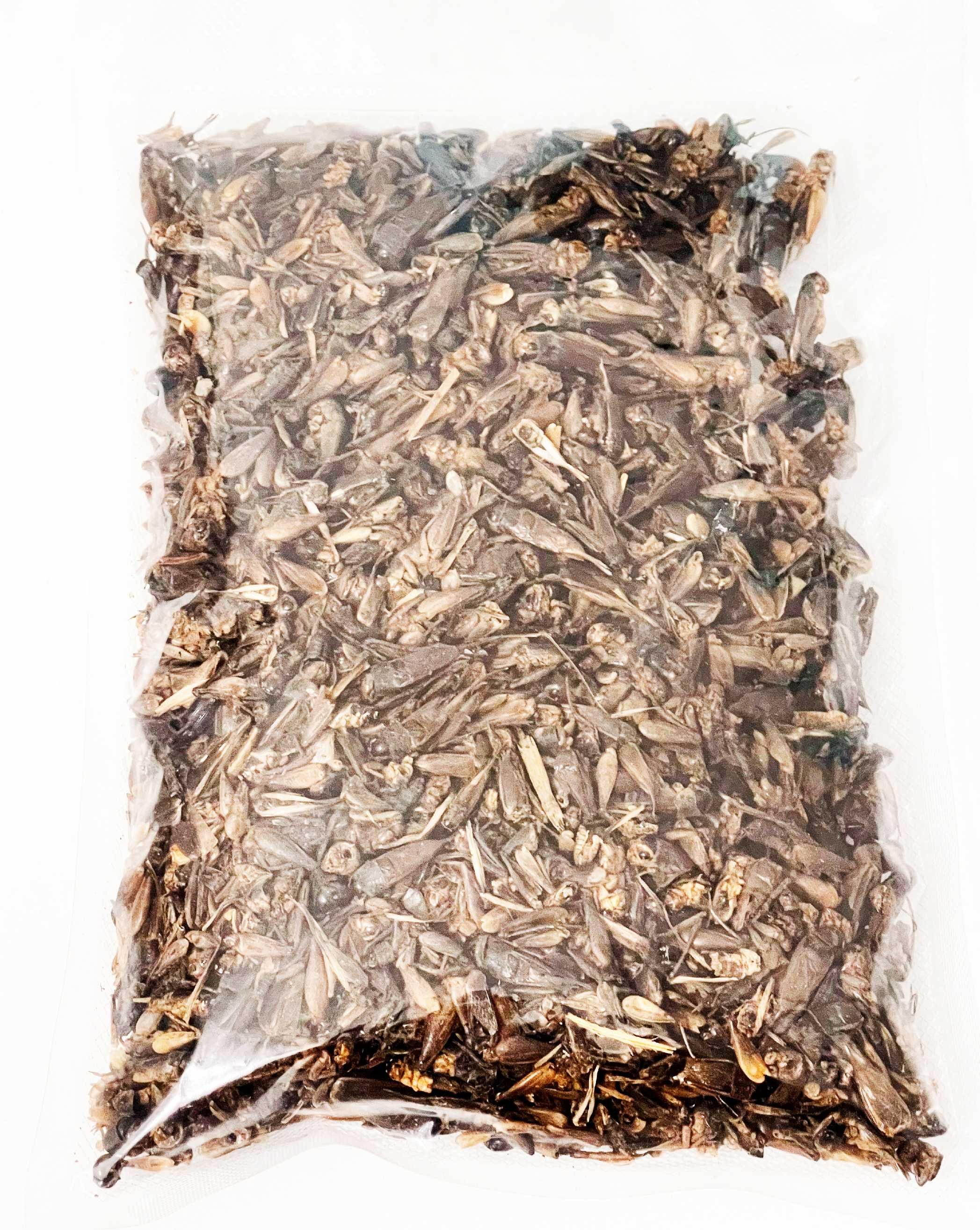 Balmax, Suszony Świerszcze / Dried Crickets / 200g