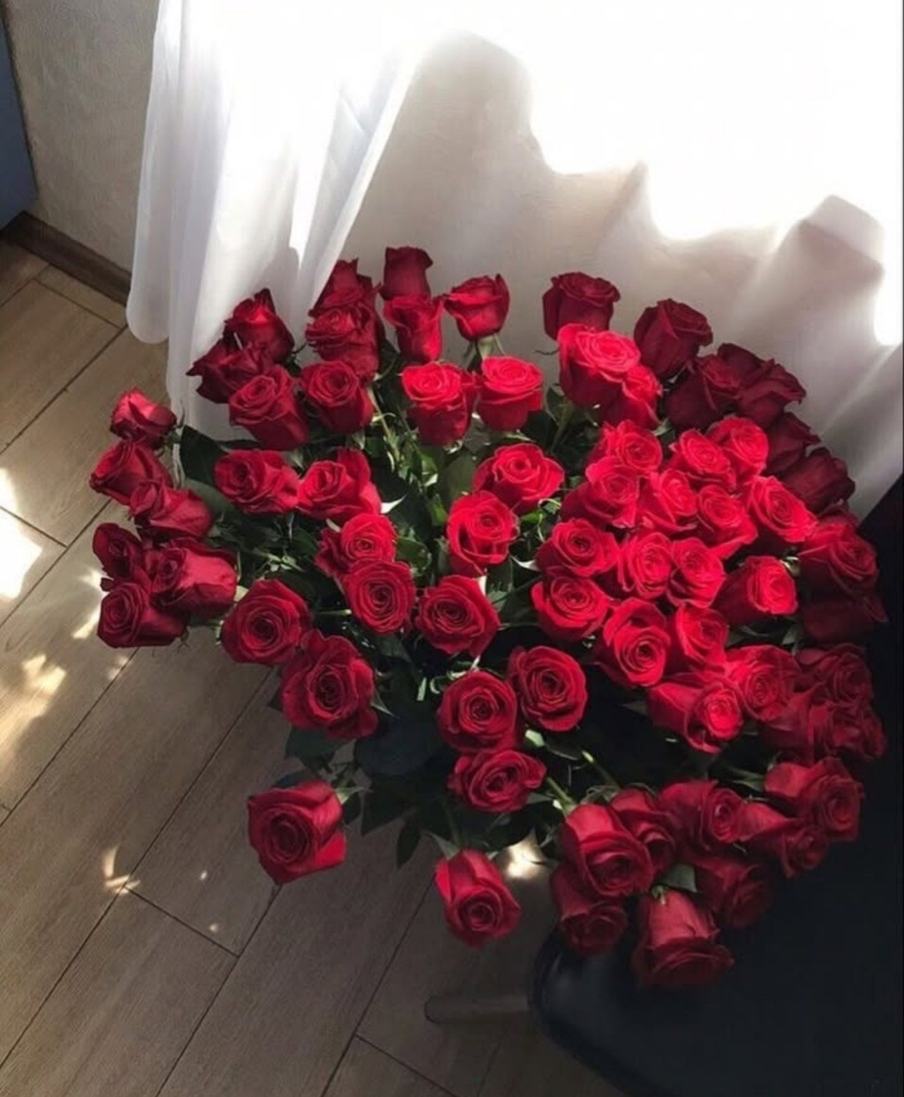 Троянди свіжайші одразу з теплиці • Букет 101 троянда • 101 роза •