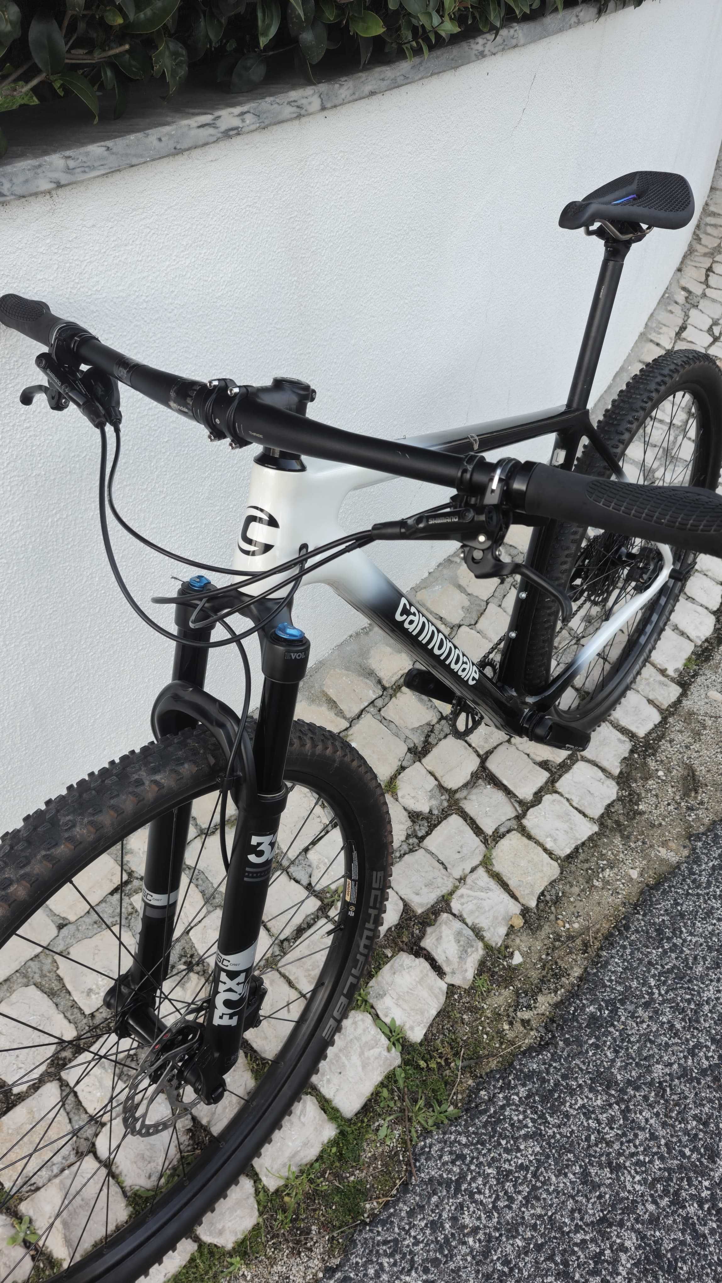 BTT Cannondale Carbon GX Suspensão Fox Bike Nova