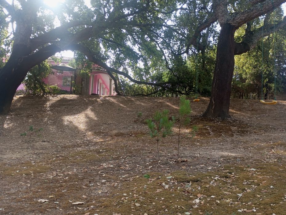 Villa composta de  3 casas:vivenda+ chalet de madeira+casa+ piscina