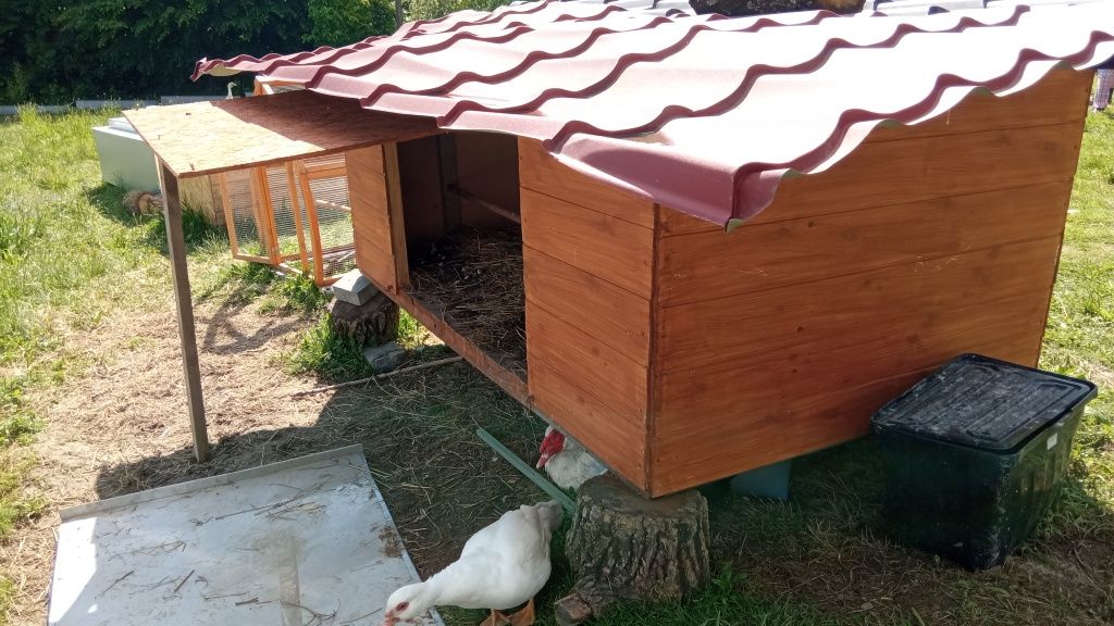 Duży kurnik, klatka dla zwierząt domowych oraz hodowlanych. Super stan
