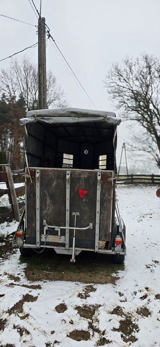 Przyczepa do przewozu koni