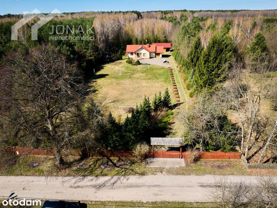 Siedlisko z lasem i domem 130 m² Sobiborski Park