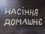 Лот. Семена огурцов, помидор.