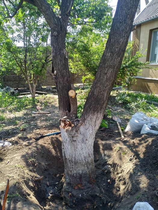 Корчевка пней, деревьев ,Культивация Земли,вспашка,Уборка територии