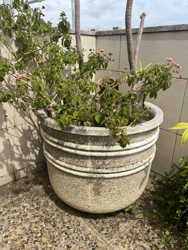 Vasos de jardim/terraço