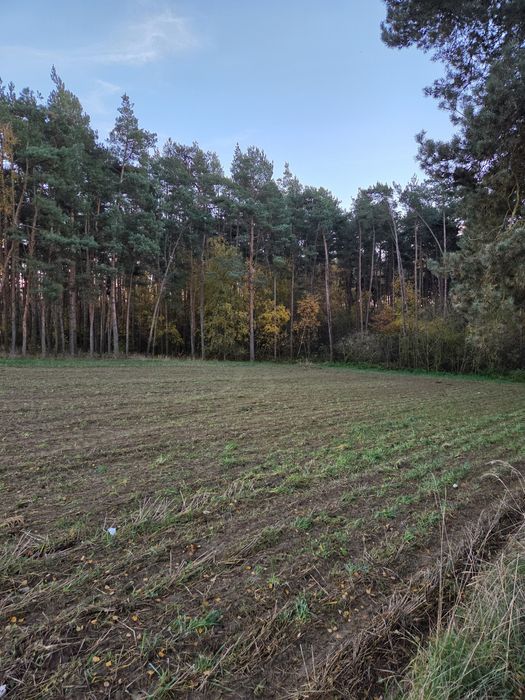 Działka budowlana pod samym lasem  uzbrojona