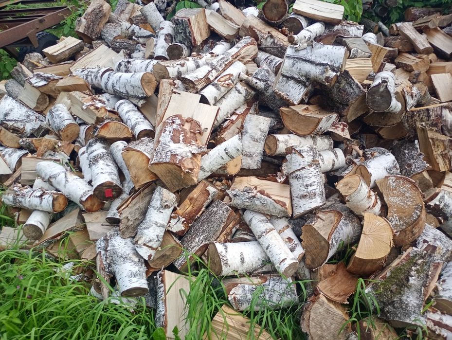 Drewno opałowe kominkowe brzoza gruba cięta