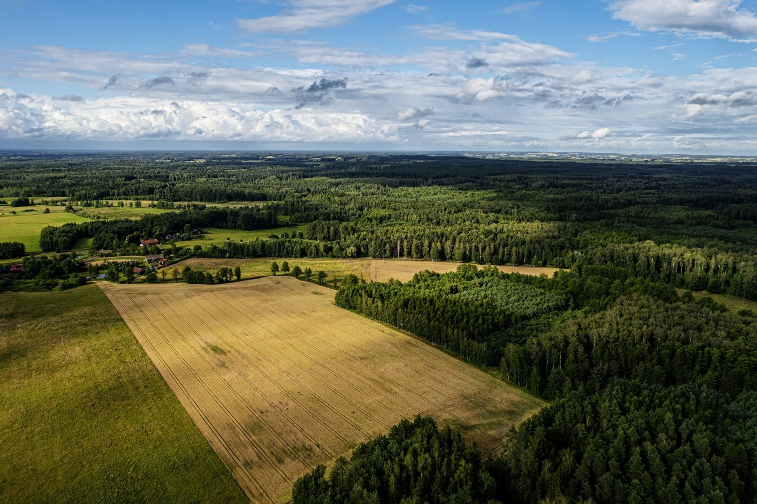 Ziemia rolna 11 hektarów przy lesie, mazury , działki rekreacyjne
